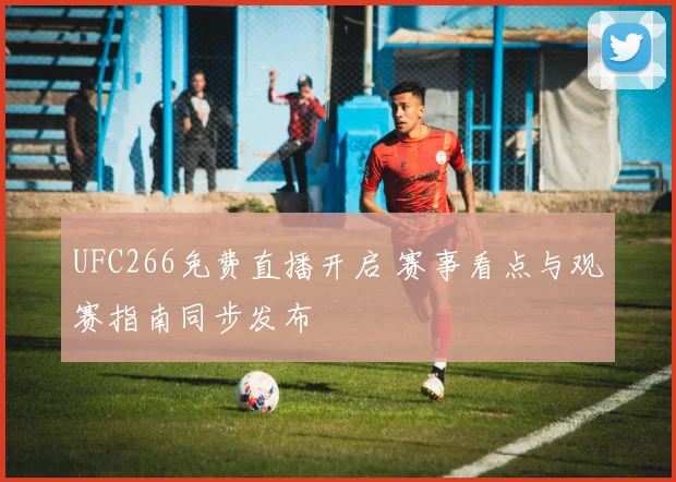 UFC266免费直播开启 赛事看点与观赛指南同步发布
